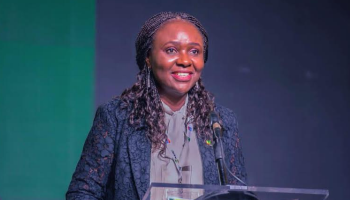 NUPRC: 2025 oil licensing round could add 500 million barrels to Nigeria’s reserves