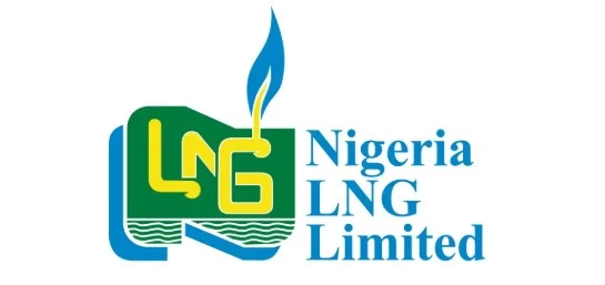 NLNG, CORA celebrate 11 poets on Nigeria Prize longlist 